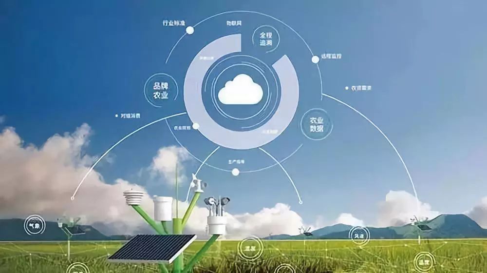 數(shù)據(jù)賦能，智慧興農(nóng) 大數(shù)據(jù)為鄉(xiāng)村振興注入新動(dòng)能